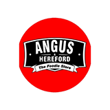 Angus-hereford