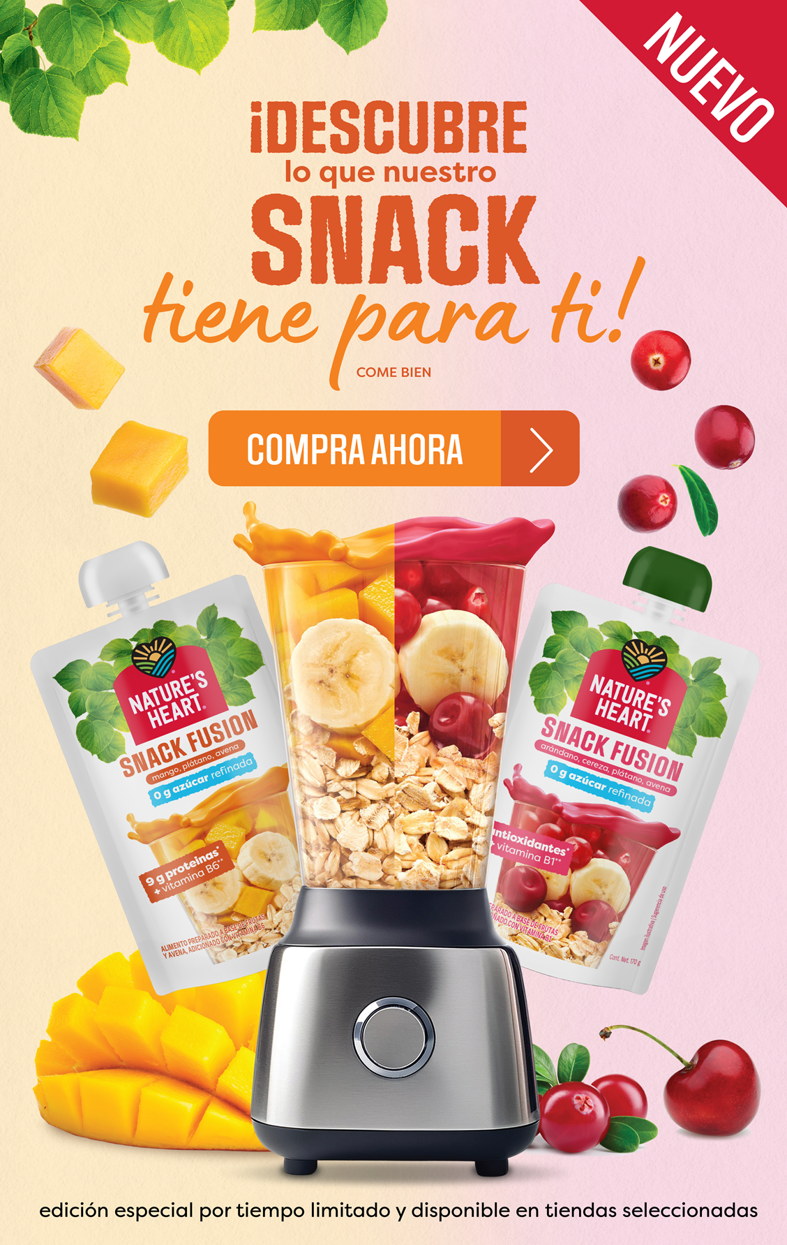 snack-fusion